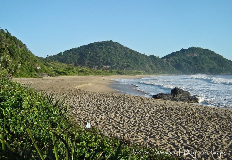 Dónde alojarse en Camboriú: mejores zonas y hoteles