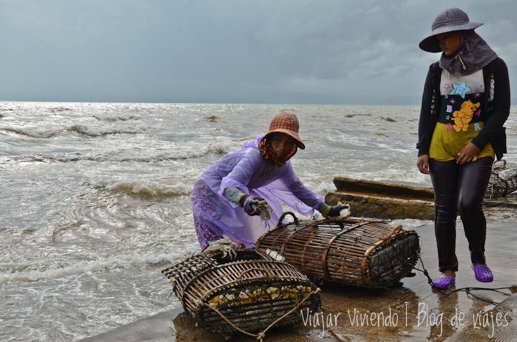 Crab Market - viajar a Kep, Camboya