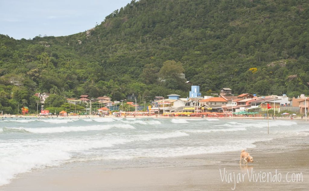 La playa de Barra da Lagoa en Florianopolis