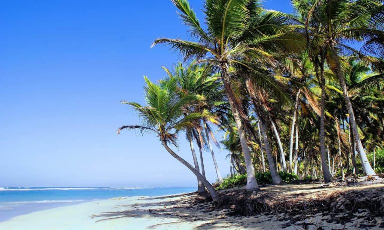 Como ir a Punta Cana Republica Dominicana