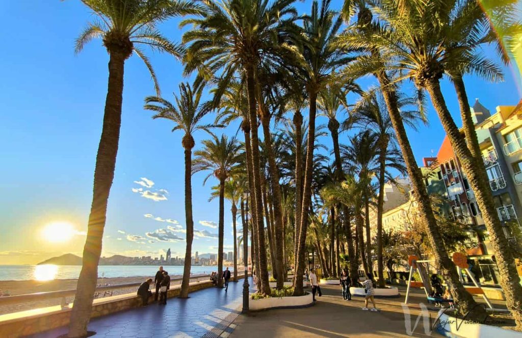 parque de elche benidorm