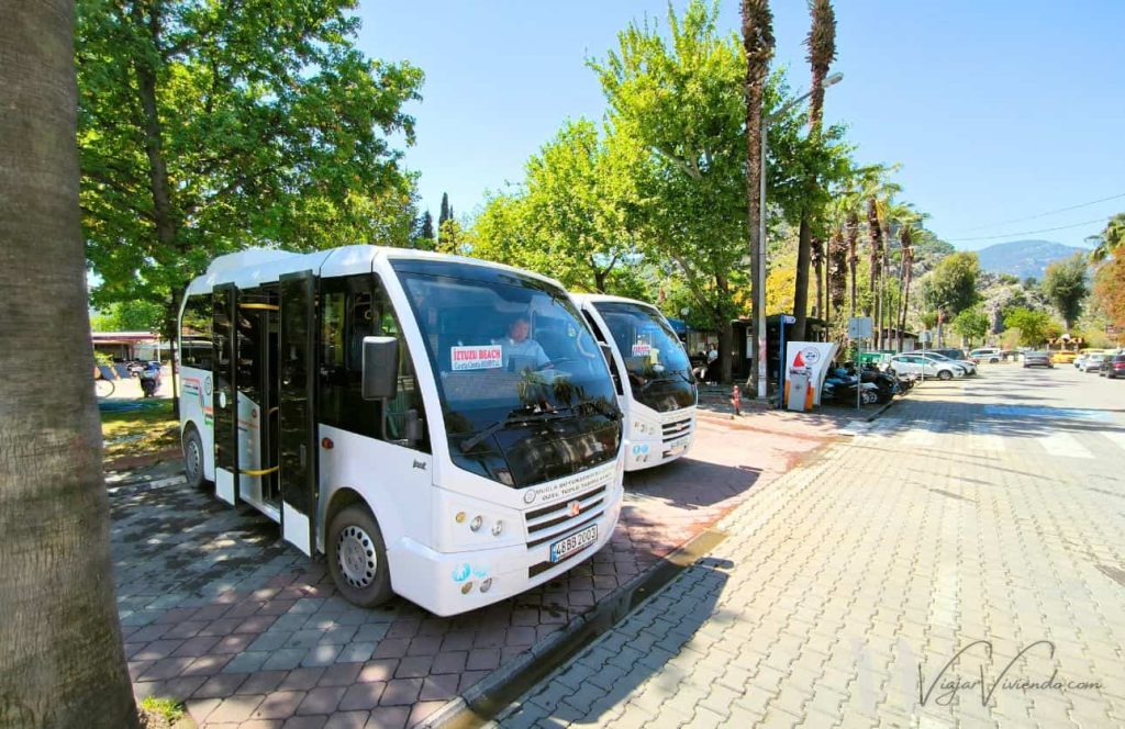 transporte de dalyan a iztuzu