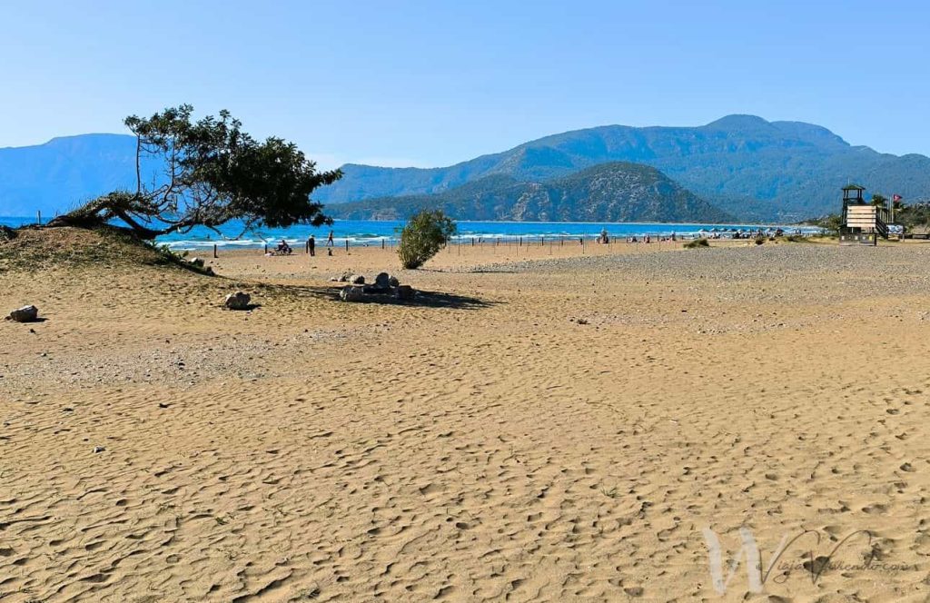 arenal de la playa de las tortugas turquia