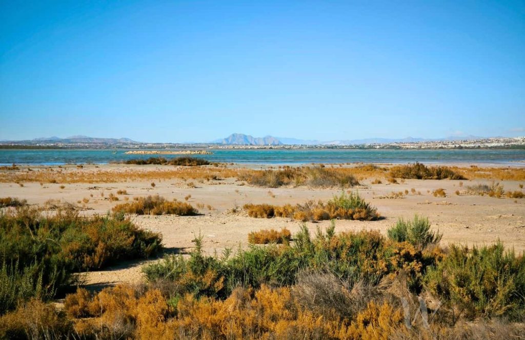 parque natural de las lagunas de la mata y torrevieja