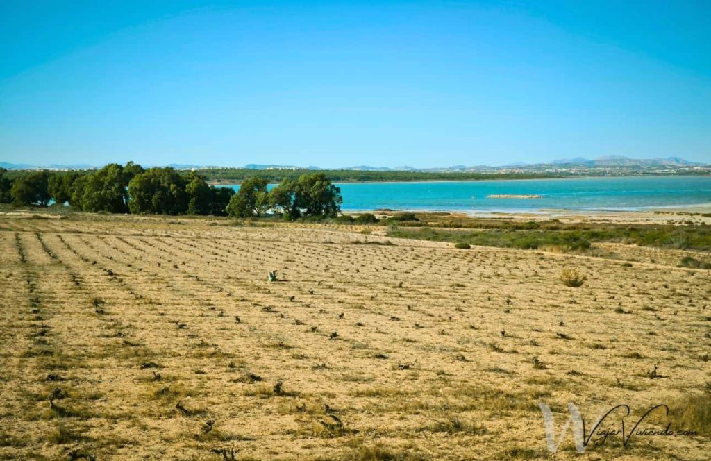 parque natural de la laguna de la mata