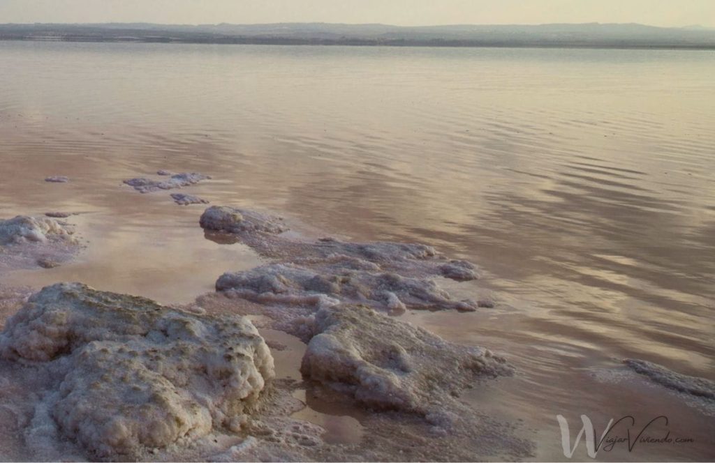 laguna rosa de torrevieja