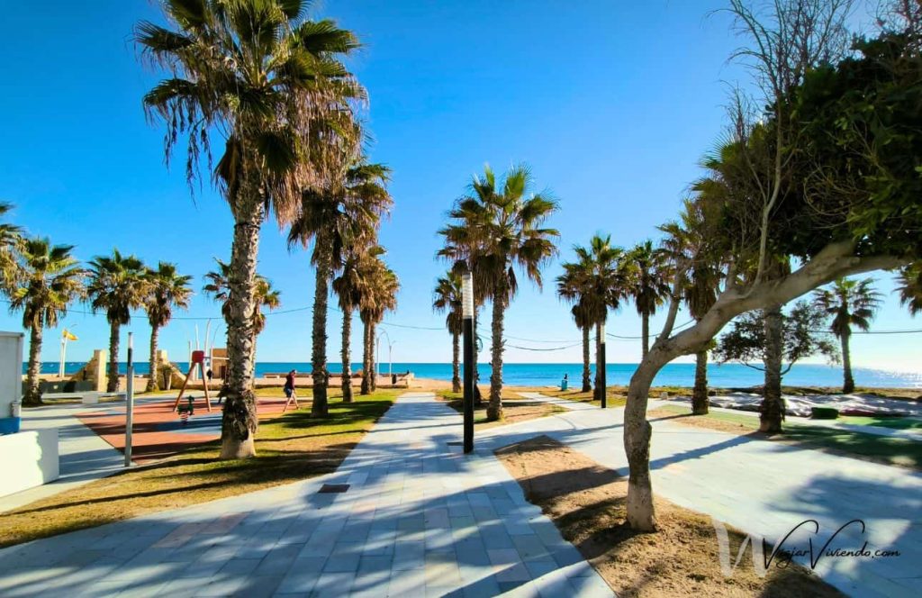 parque en el centro de la mata