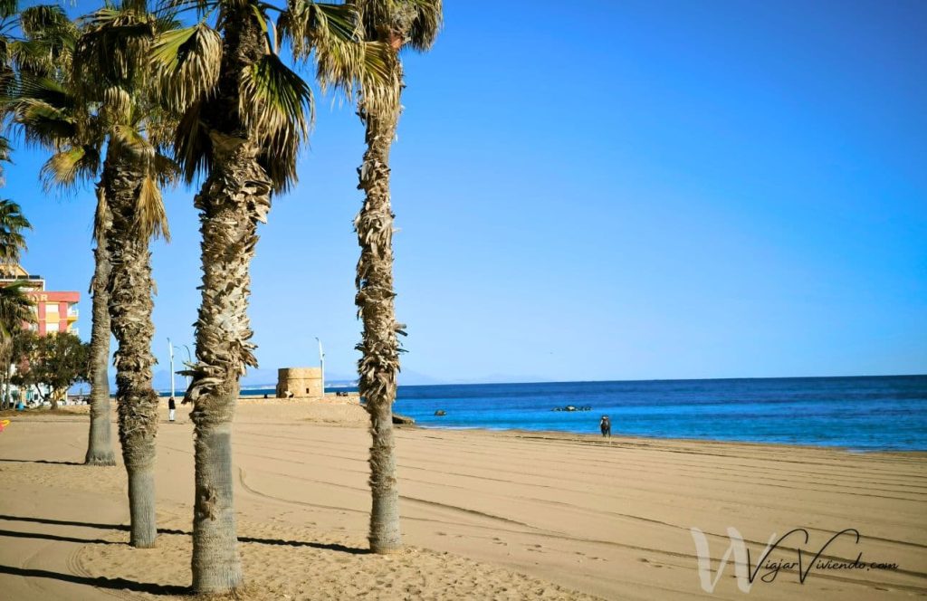 playa de la mata