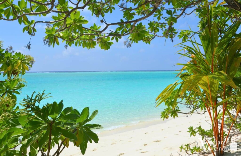 las mejores islas maldivas thoddoo