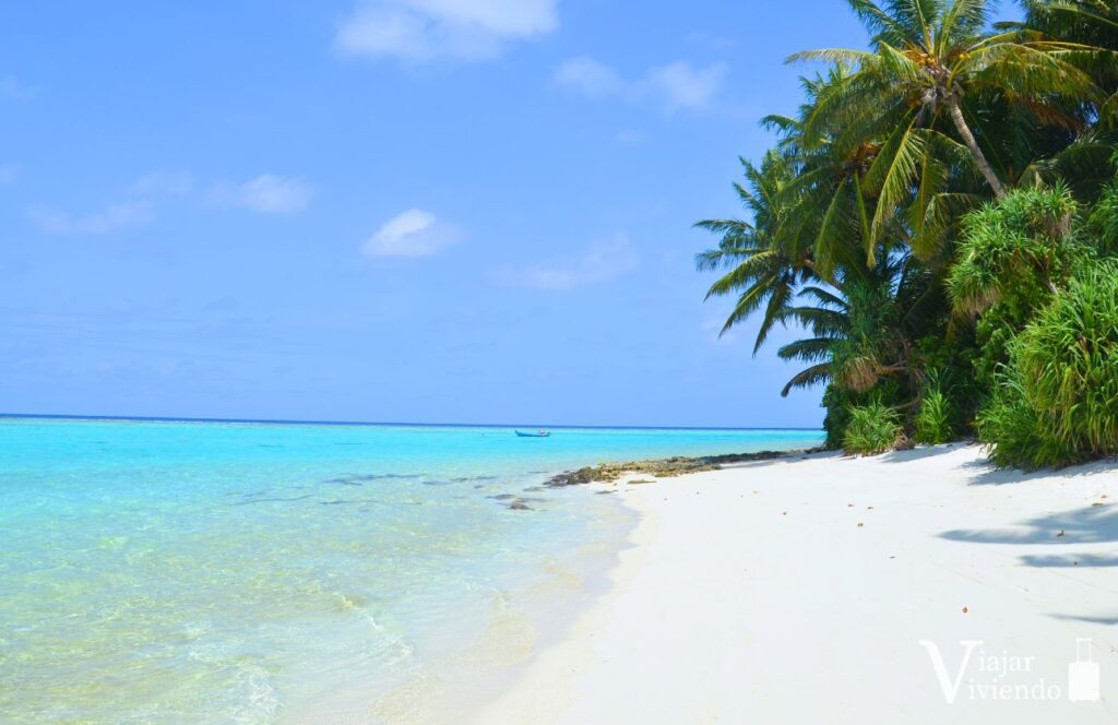 las mejores playas de maldivas en thoddoo