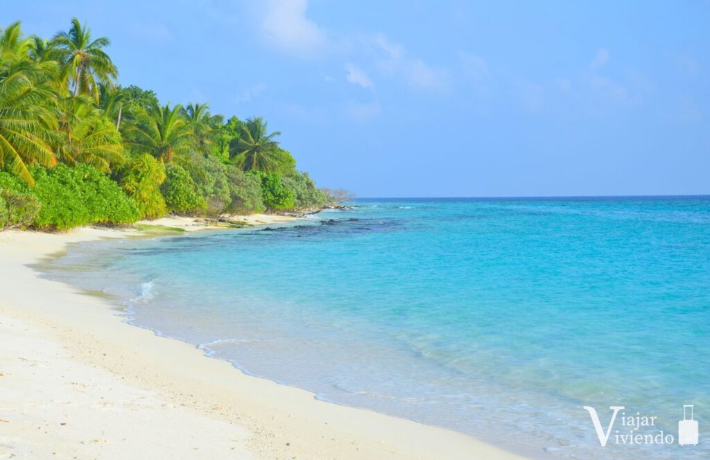increibles playas maldivas en thoddoo
