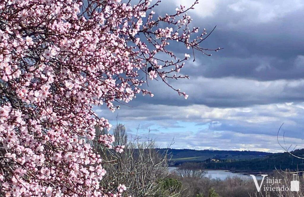 vistas de manzanares el real y almendro en flor