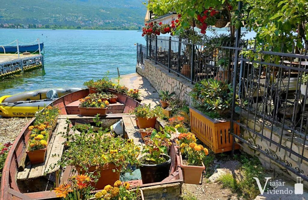 donde comer trucha en el lago ohrid