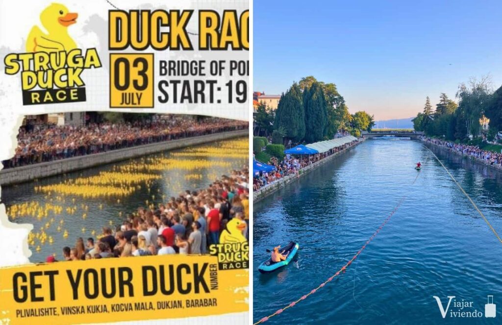 carrera de patos en struga