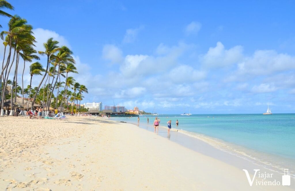 alojarse en aruba en palm beach zona hotelera