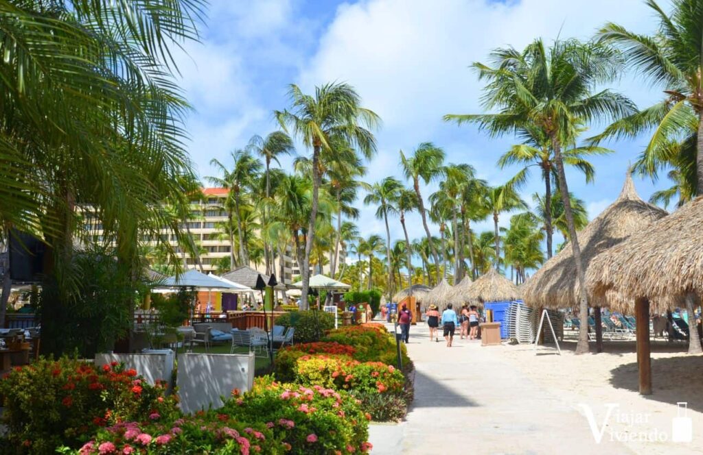 sendero que une los hoteles en palm beach