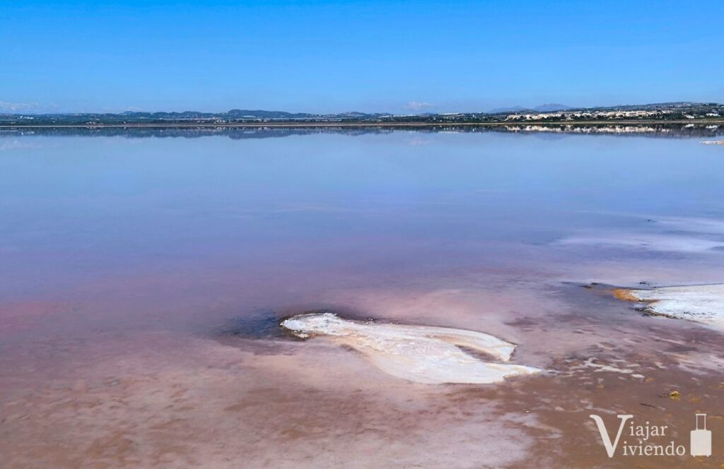 laguna rosa de torrevieja
