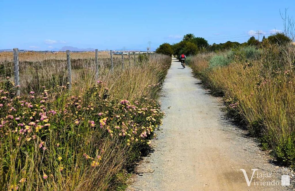 sendero verde junto a la laguna de torrevieja