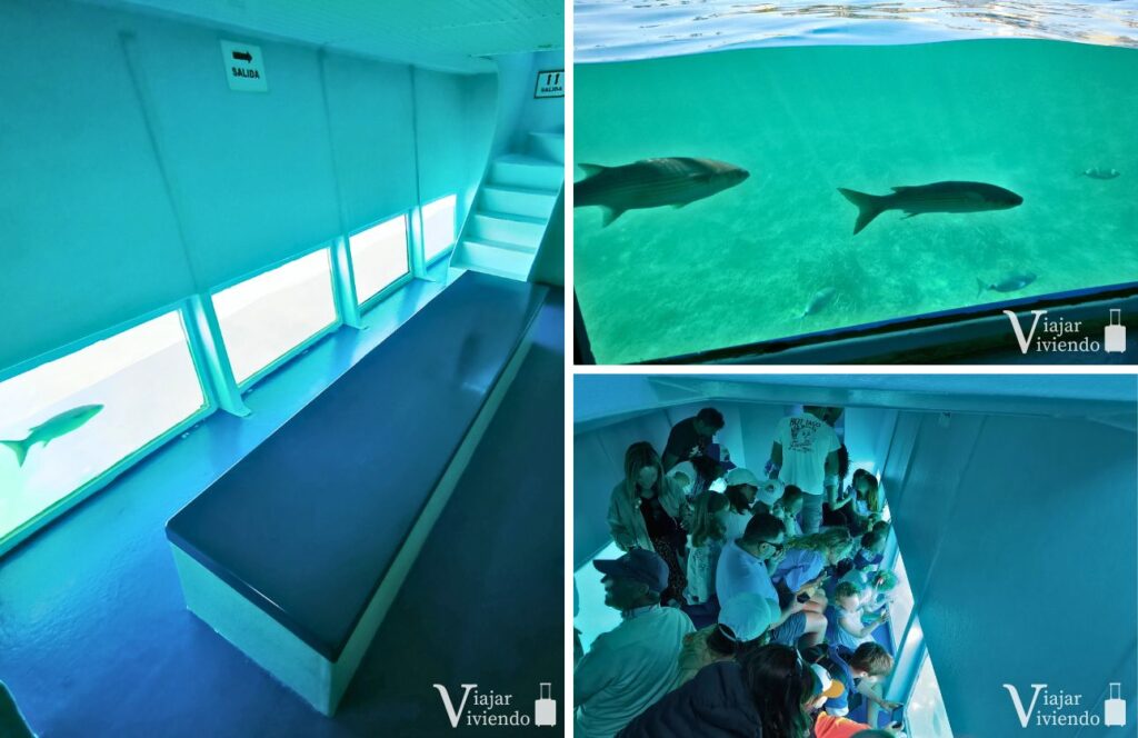 ferry a tabarca con vision submarina