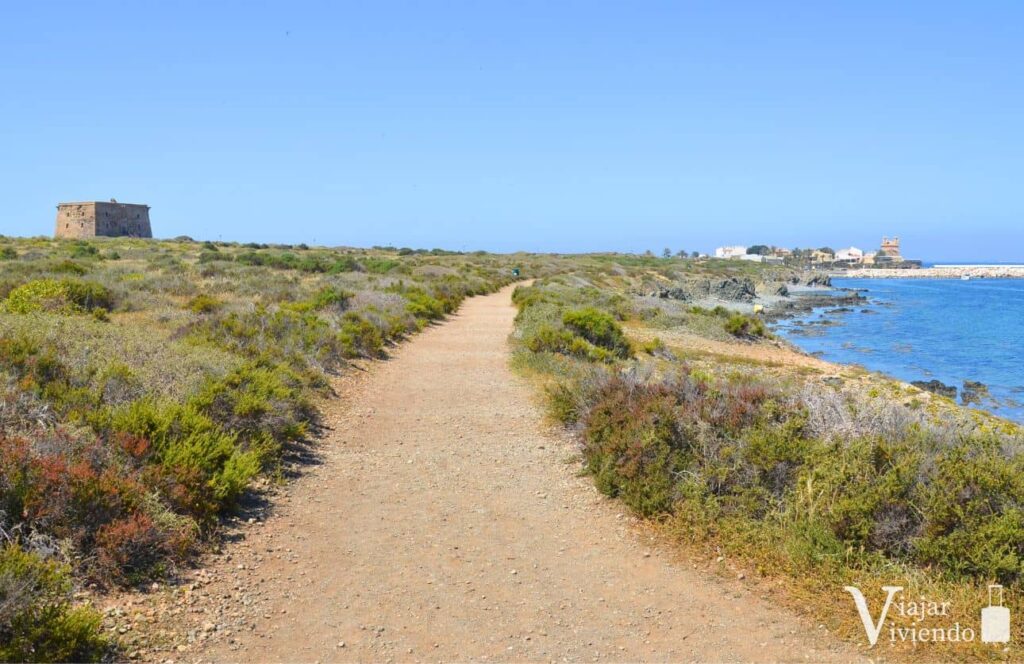 sendero en la zona desertica de tabarca con la torre de san jose