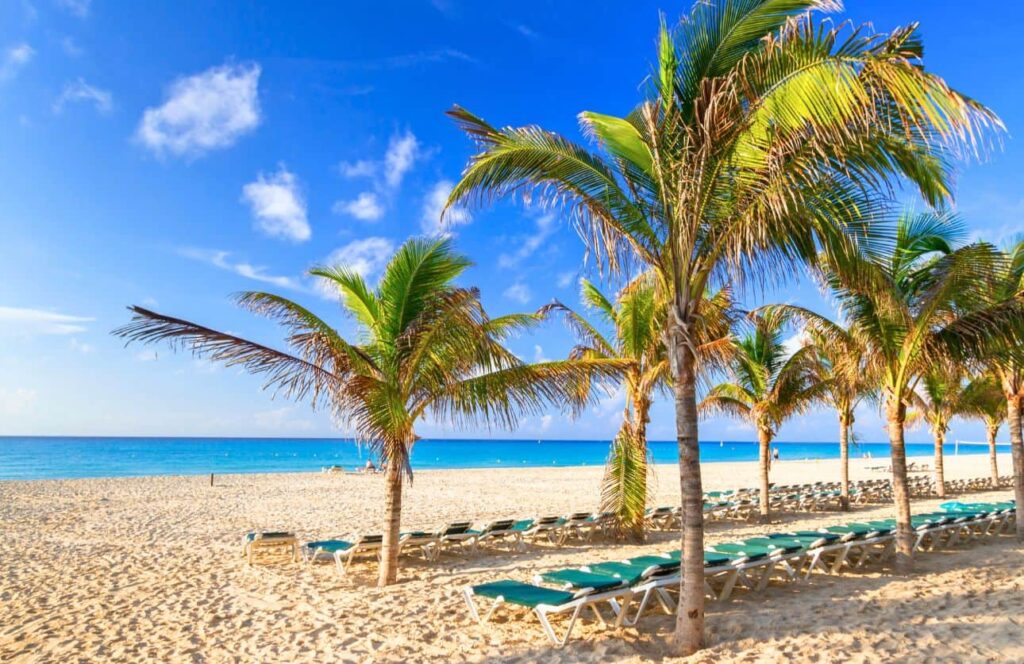 palm trees and beach at the hotels in playacar