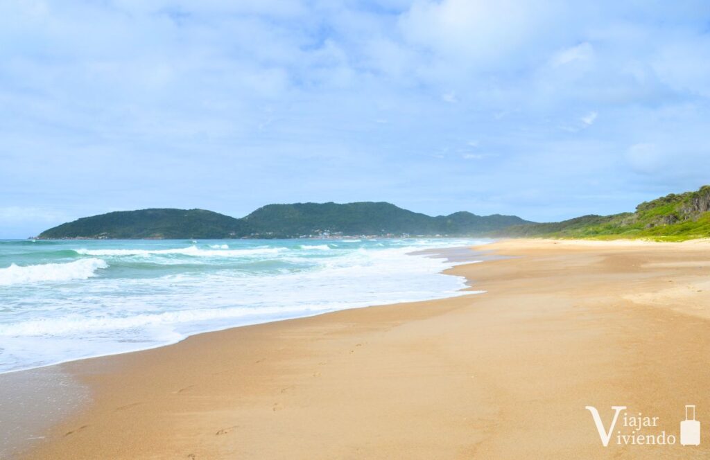 caminar por la salvaje playa de mozambique en florianopolis