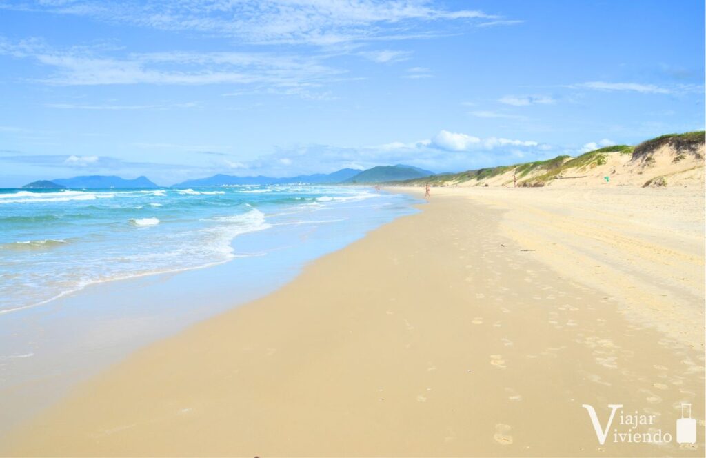 dunas en playa joaquina