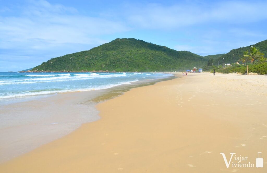 la preciosa praia brava en florianopolis
