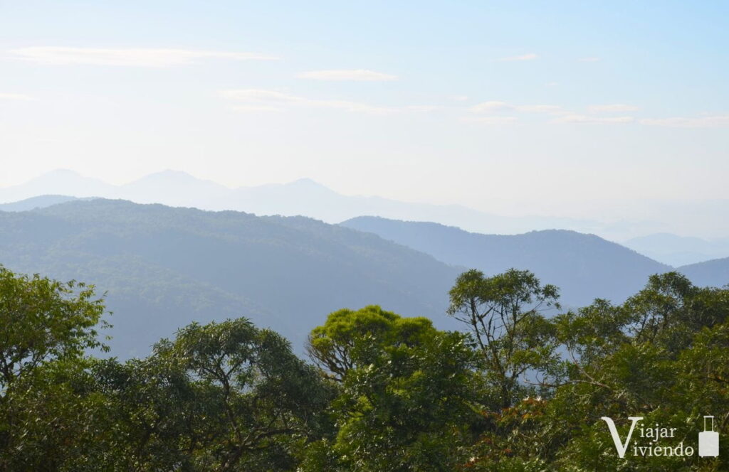 paisaje de mata atlantica desde el tren de morretes a curitiba