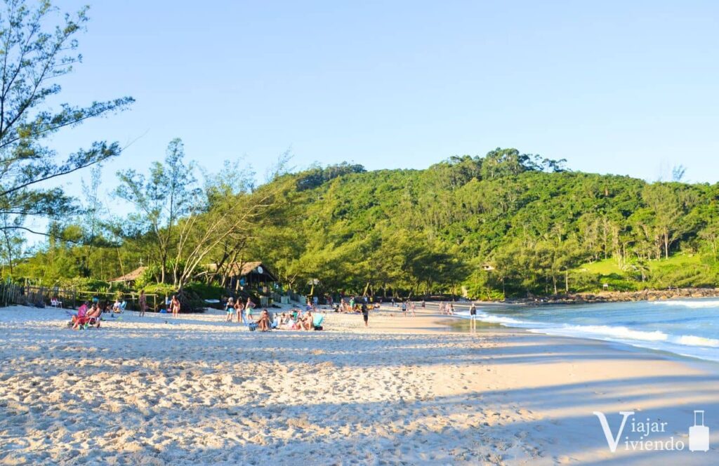 ambiente joven en ferrugem al atardecer