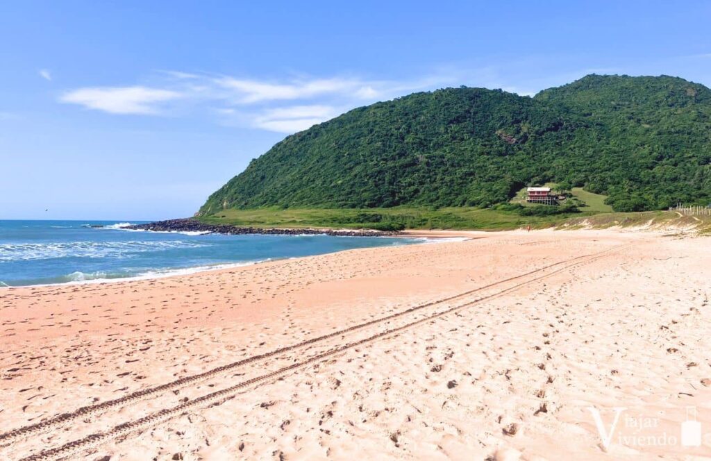 paisaje con arena color rosa en praia da silveira en garopaba brasil