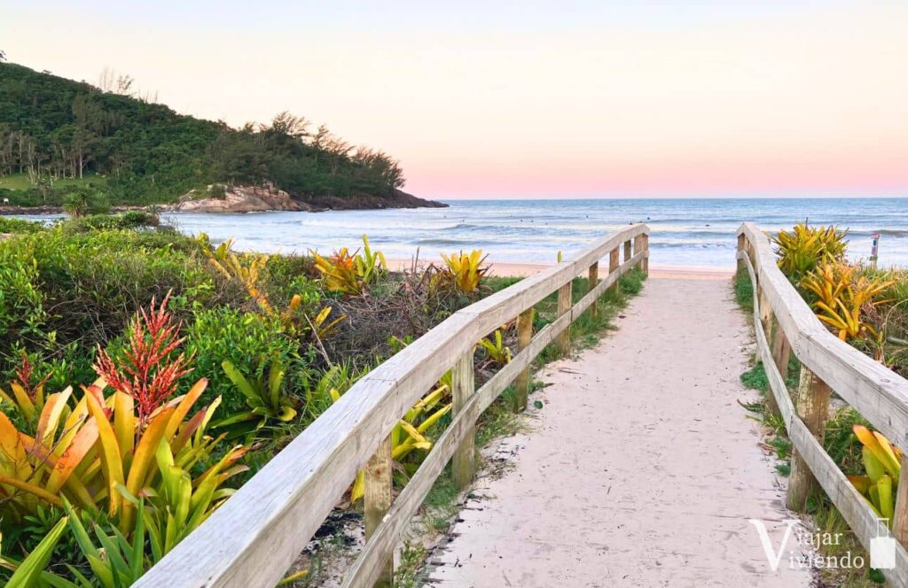 sendero hacia la playa de ferrugem en brasil al atardecer