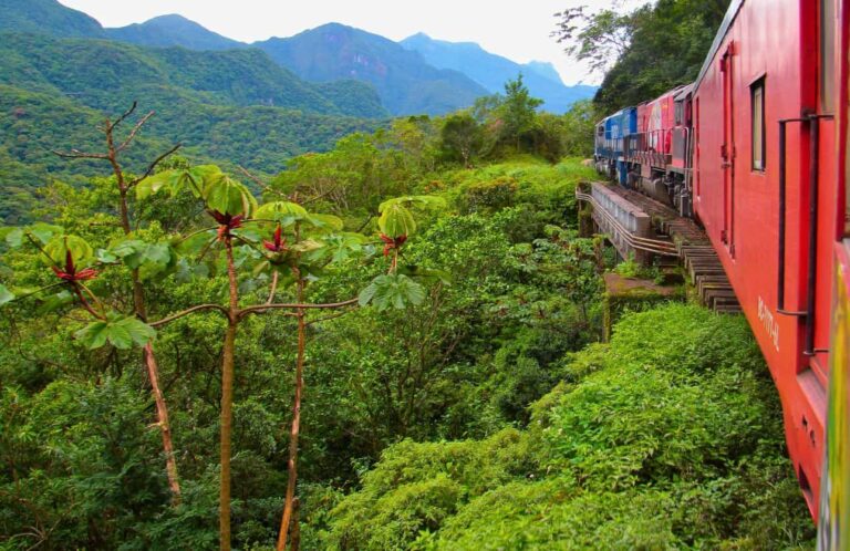 tren de curitiba a morretes en brasil