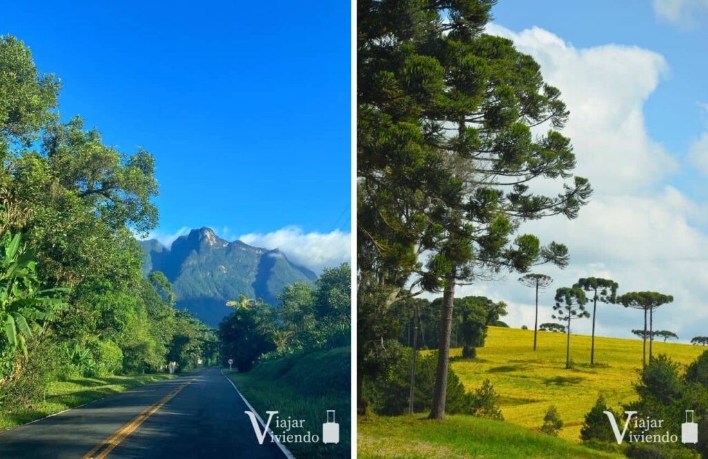 paisaje viaje en auto por curitiba parana
