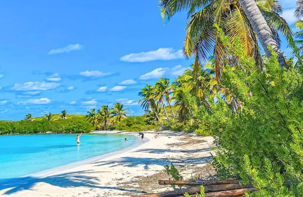 playa paradisiaca de isla contoy en la excursion desde cancun