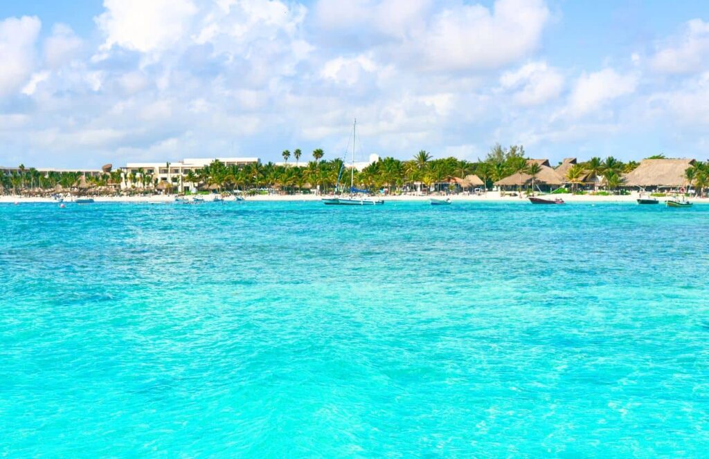 vistas de la playa de akumal desde tour de snorkel con tortugas