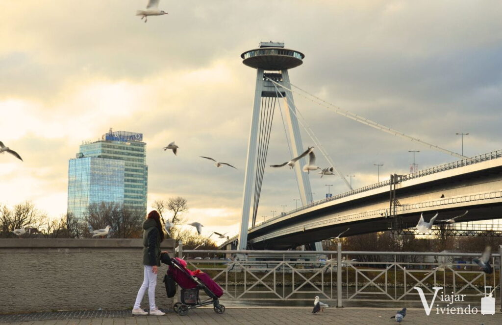 puente ovni o torre ufo con palomas volando en el atardecer de bratislava