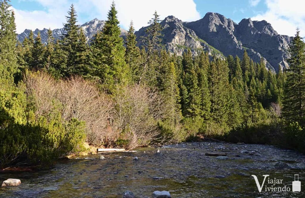 rio en el paisaje de los altos tatras