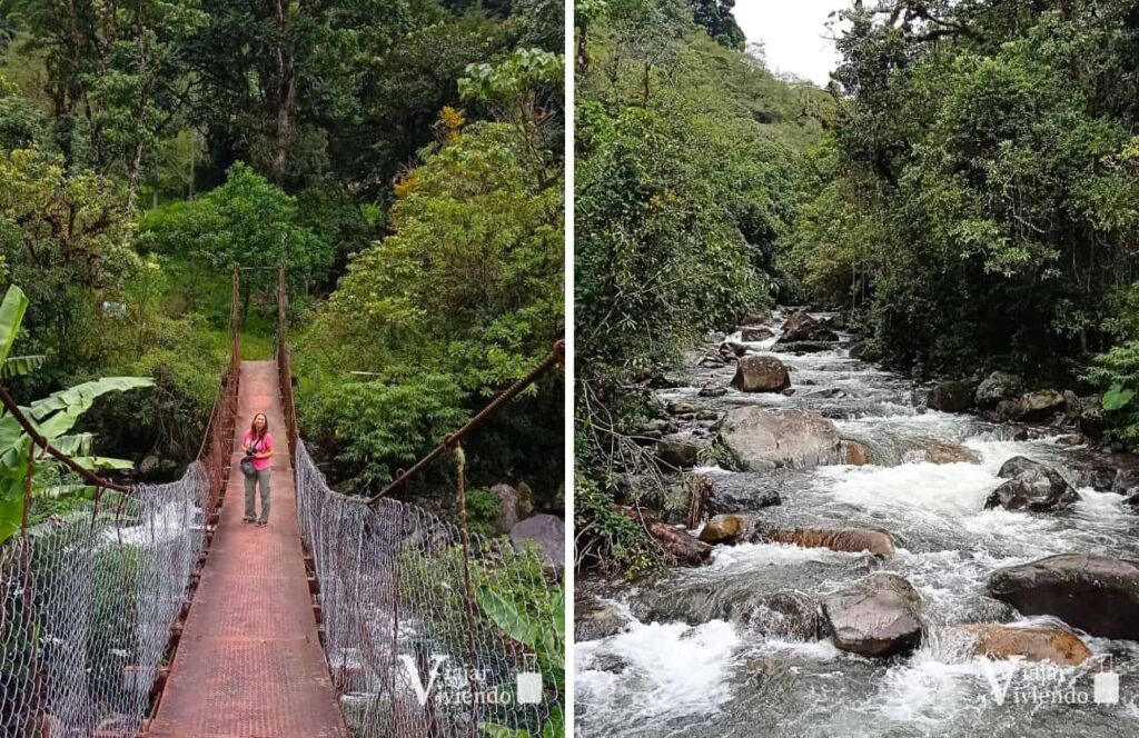 sendero y rio en boquete