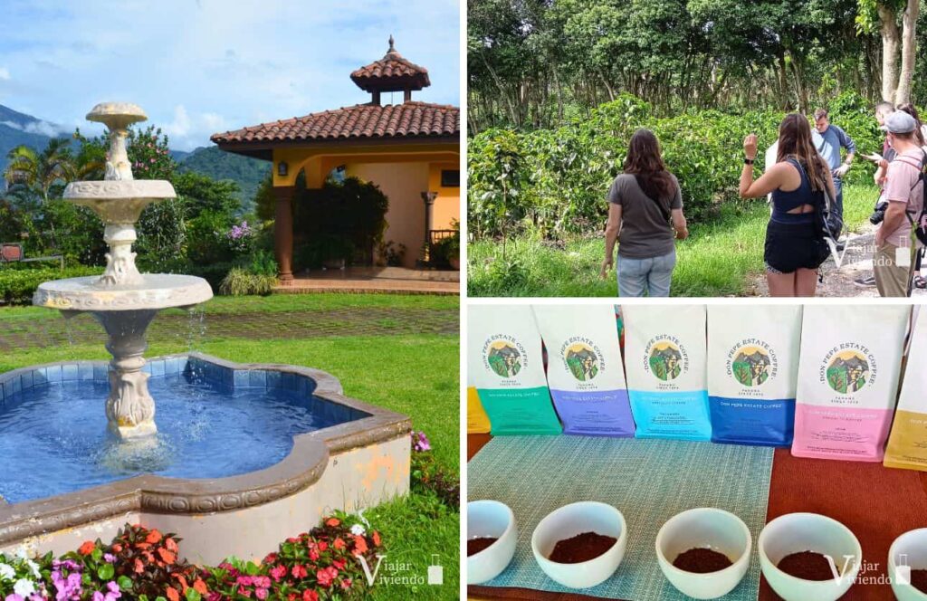 tour de cafe en boquete con degustacion