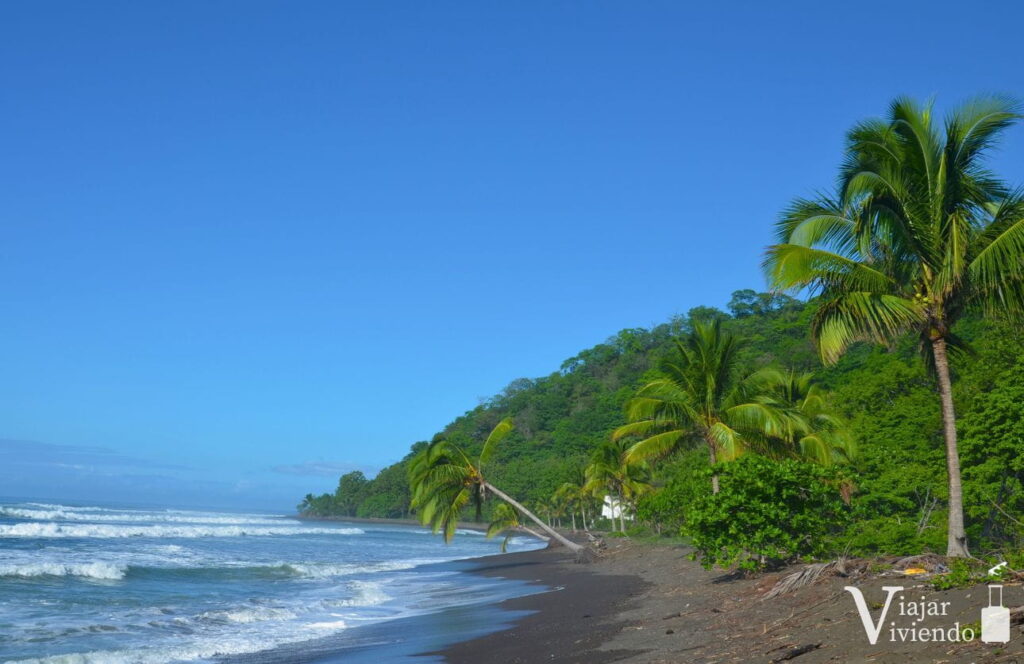 preciosa playa cambutal en panama con palmeras