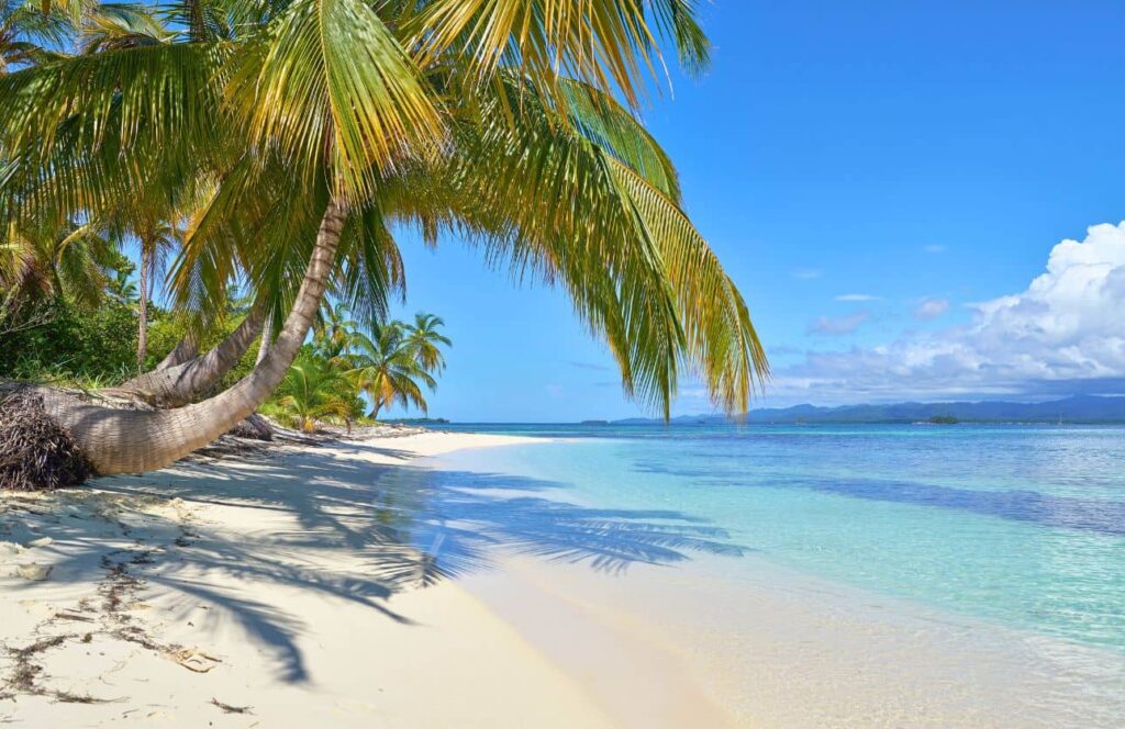 playa con palmeras en las islas san blas de panama