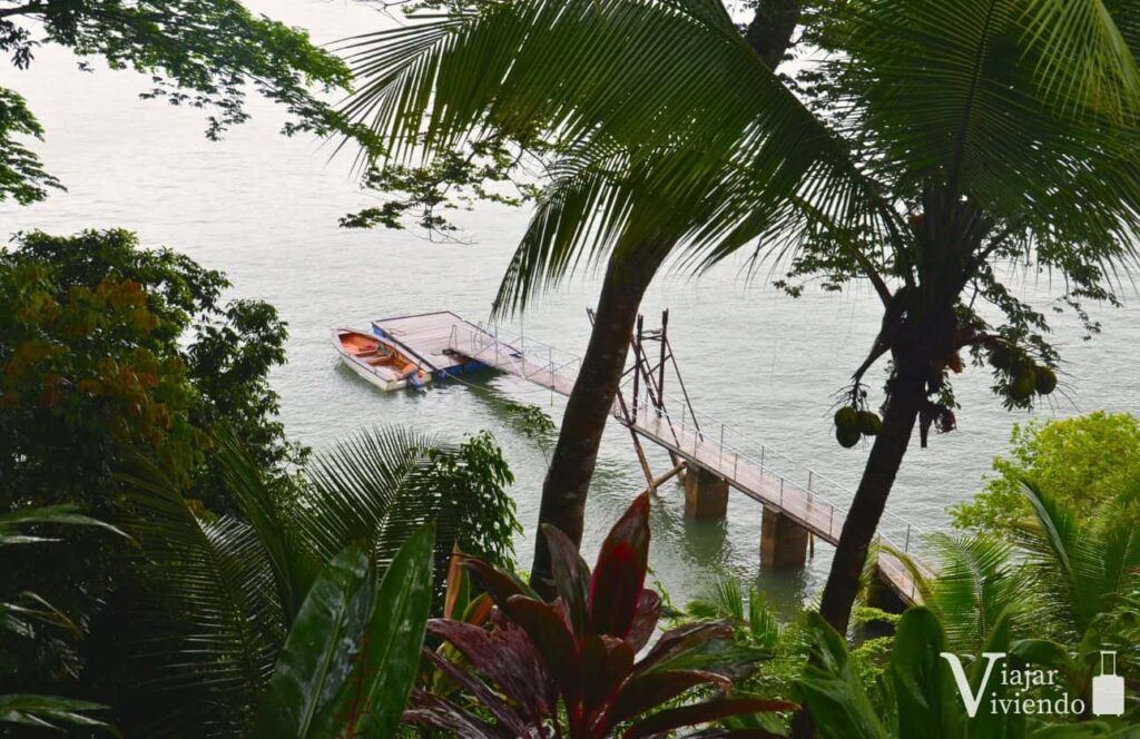 muelle en la isla de boca brava panama