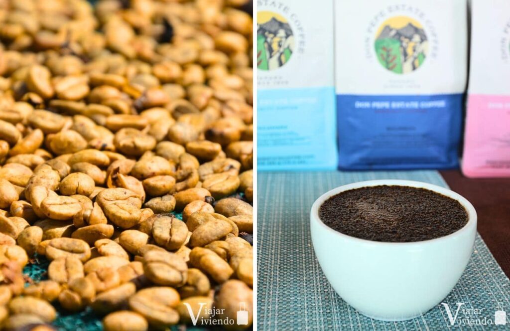 granos de cafe y taza de cafe de especialidad en la zona cafetera de boquete