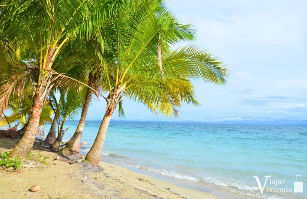 paisaje de playa estrella una de las playas famosas de bocas del toro