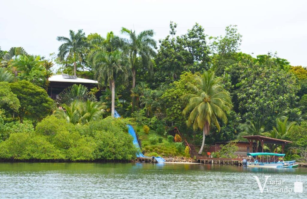 vistas del tobogan del hostal bambuda lodge donde dormir en isla solarte
