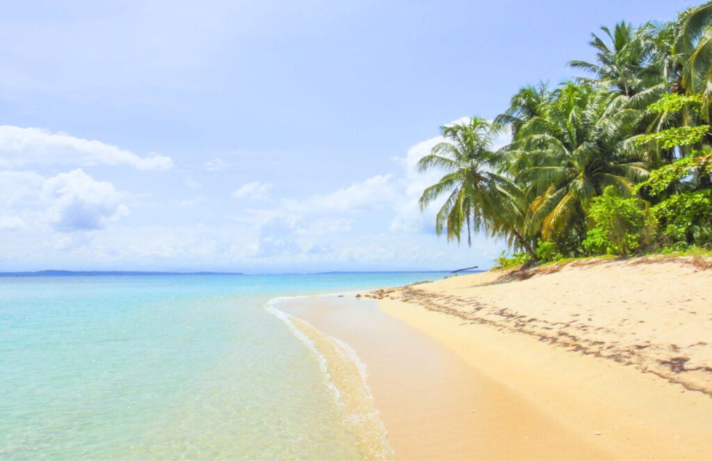 palmeras y agua cristalina en cayo zapatilla bocas del toro
