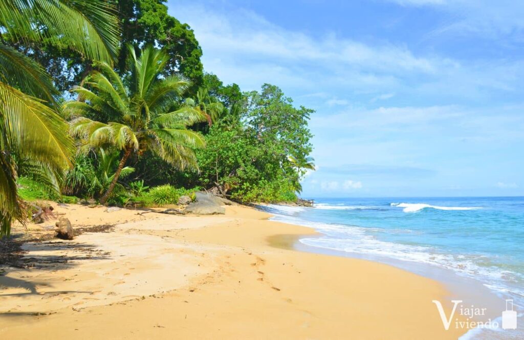 mejores playas de bocas del toro