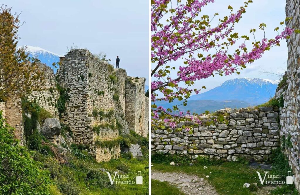 murallas del castillo de berat