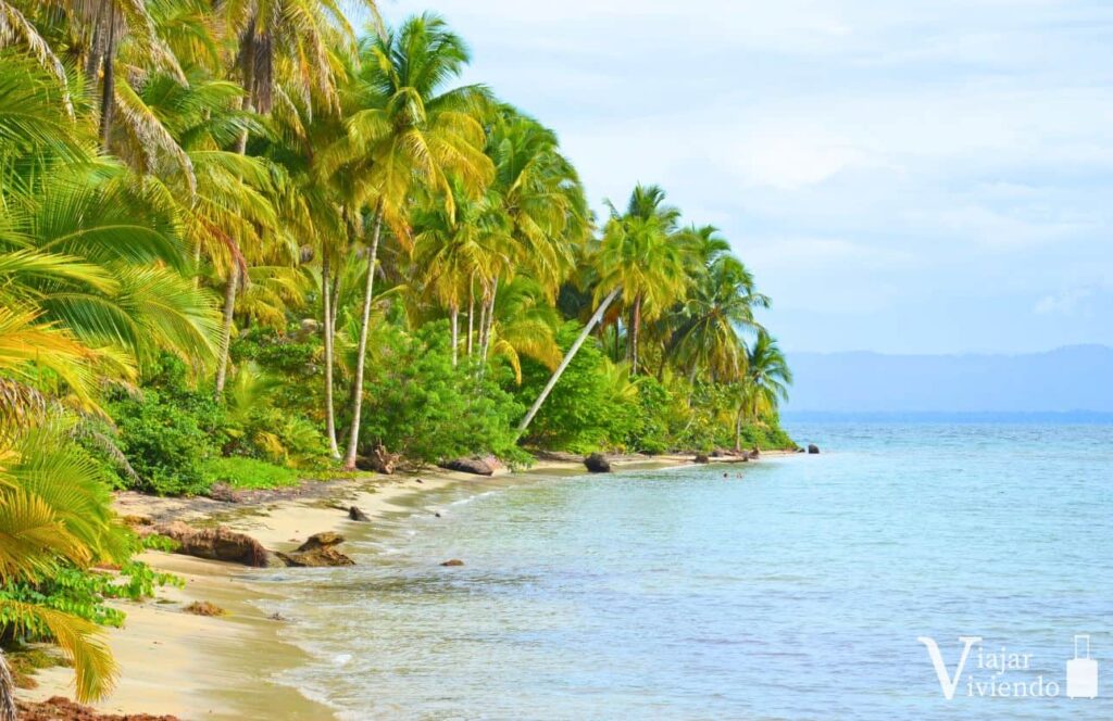 playa boca del drago en bocas del toro